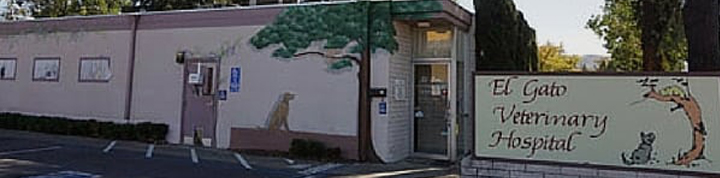 El Gato Veterinary Hospital